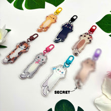 Load image into Gallery viewer, Cat Mystery Pack
