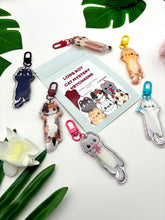 Load image into Gallery viewer, Cat Mystery Pack
