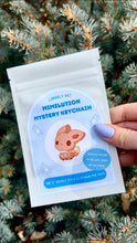 Load image into Gallery viewer, Mimilution mystery keychain
